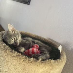 Meet your Posher, Marcus